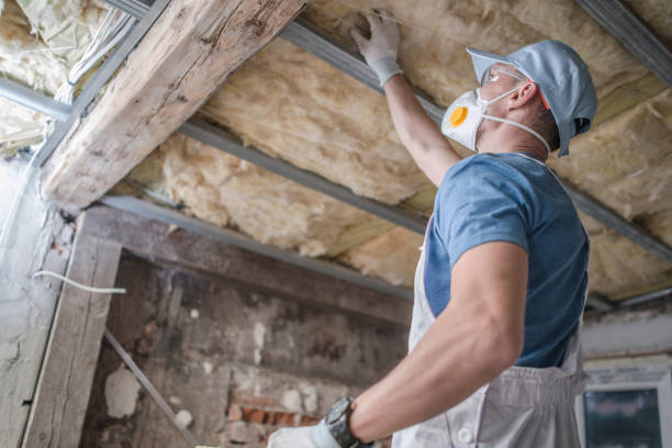 Best Insulation Removal  in Crystal Lake, IL