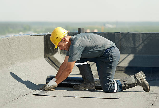 Best Affordable Insulation Services  in Crystal Lake, IL