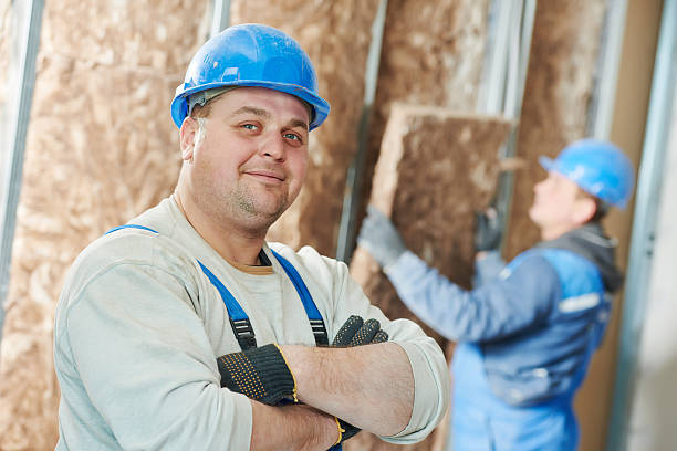 Best Insulation Replacement Services  in Crystal Lake, IL
