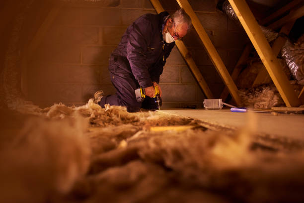 Best Local Insulation Services  in Crystal Lake, IL